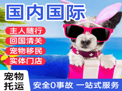信阳空运国际宠物托运 【国
